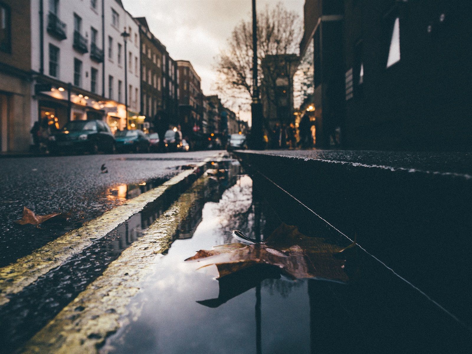1600x1200 Wallpaper Wet street, water, dry leaf, city 1920x1200 Picture, Image