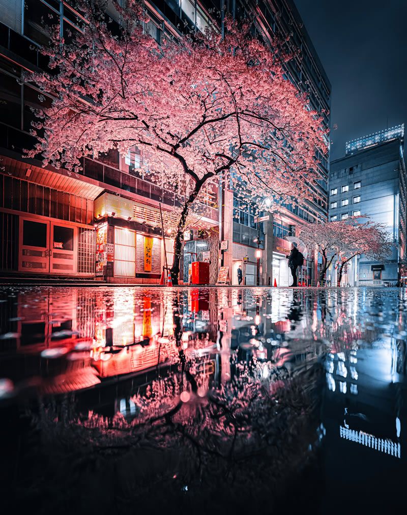 800x1013 The Quiet Poetry of Rainy Streets: Why Photographers Are Drawn to Wet City Nights