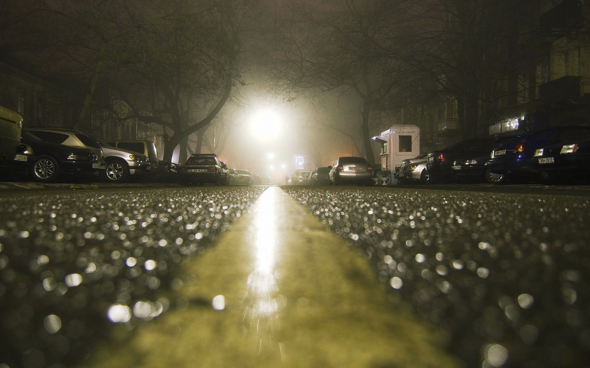 1920x1200 city, Road, Rain, Wet, Depth Of Field, Lights, Car, Night, Trees, Worms Eye View, Shiny Wallpaper HD / Desktop and Mobile Background