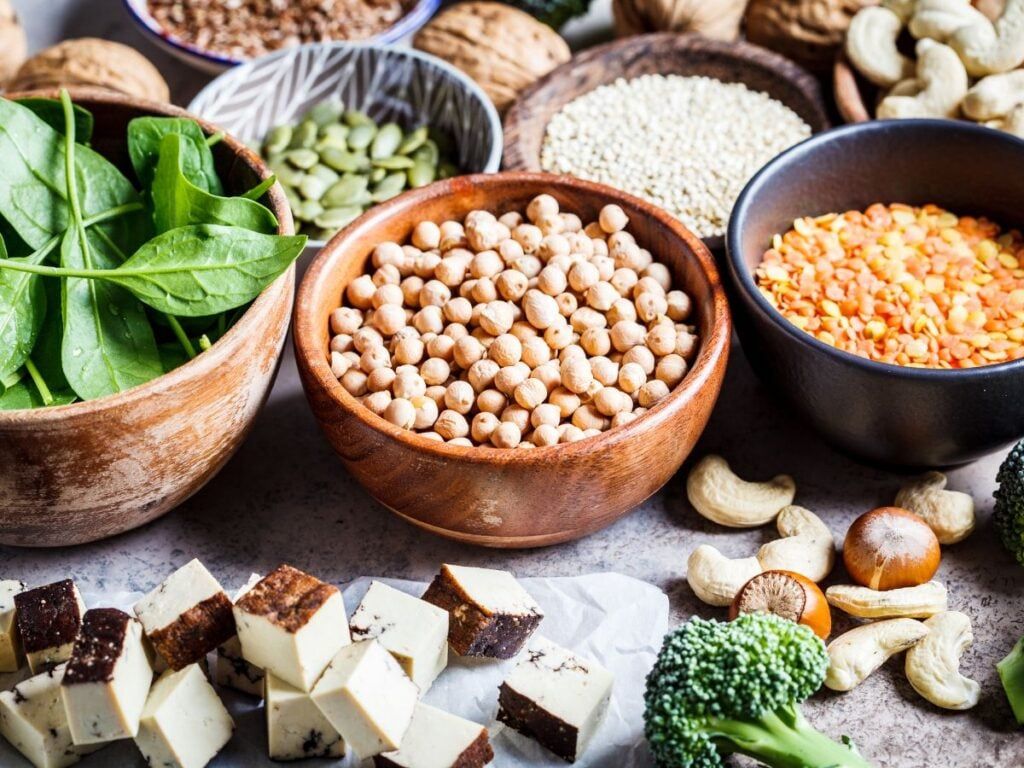 1024x768 Plant Based Protein Sources Kay Nutrition