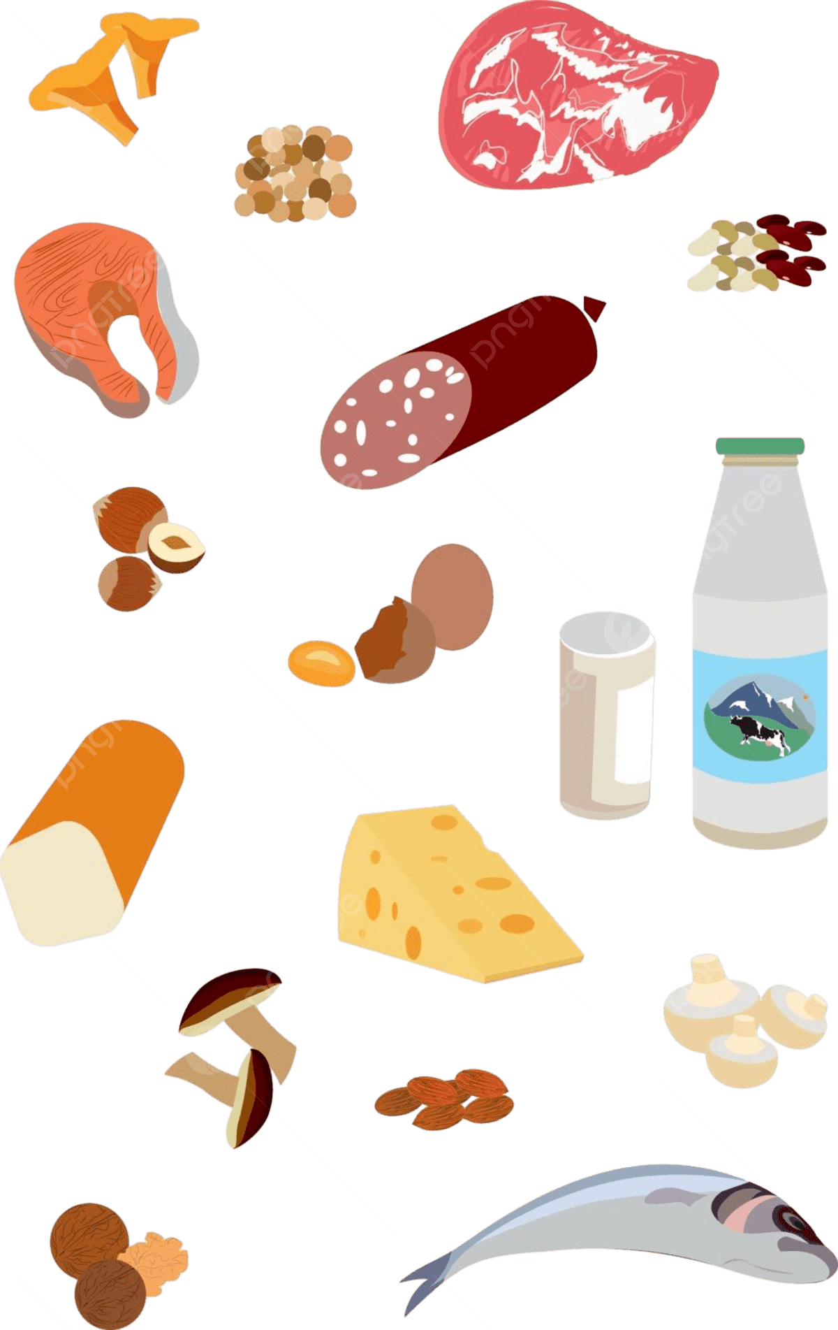 1200x1903 Set Of Protein Foodsdairy Products Protein Foods Hazelnuts Cereals Vector, Protein Foods, Hazelnuts, Cereals Illustration Background And Wallpaper For Free Download