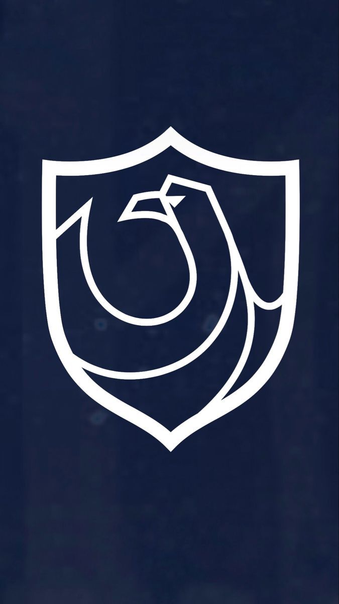 675x1200 ravenclaw wallpaper