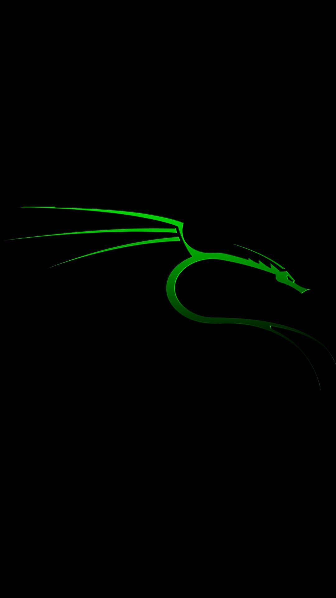 1080x1920 Kali Linux iPhone Wallpaper
