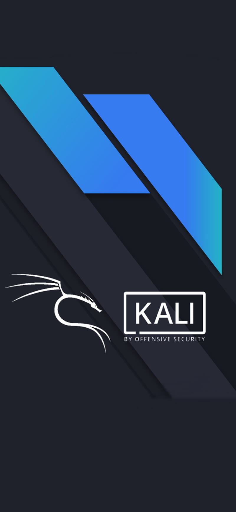 800x1733 Kali linux, HD phone wallpaper