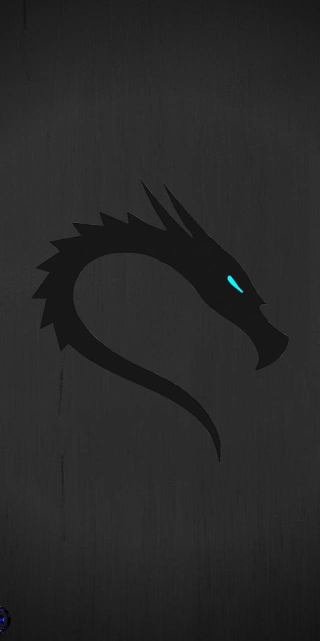 640x1280 Kali Linux