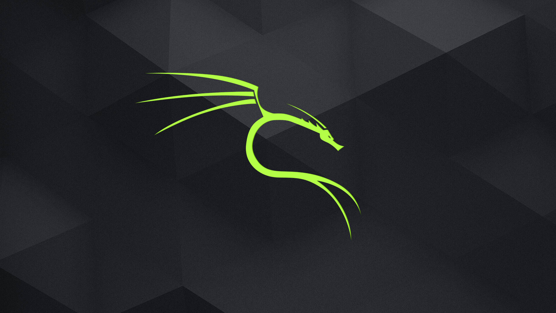 1920x1080 Download Neon Green Kali Linux HD Wallpaper
