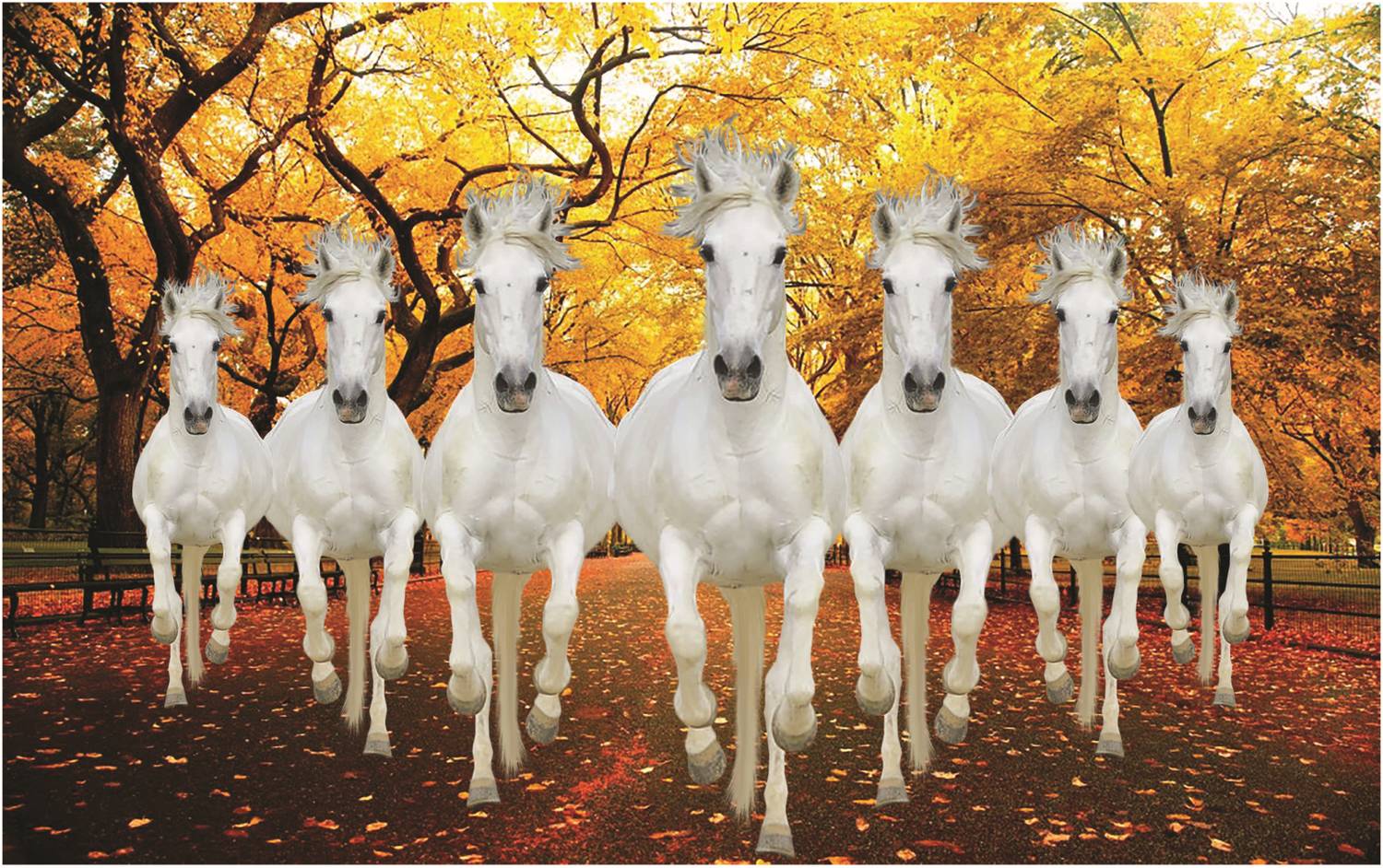 1500x942 Seven White Horses Running Beautiful Wallpaper Home and Office Wall Picture, Size 15X 24 Inch Pack of 1 Pcs 3D Poster posters in India art, film, design, movie