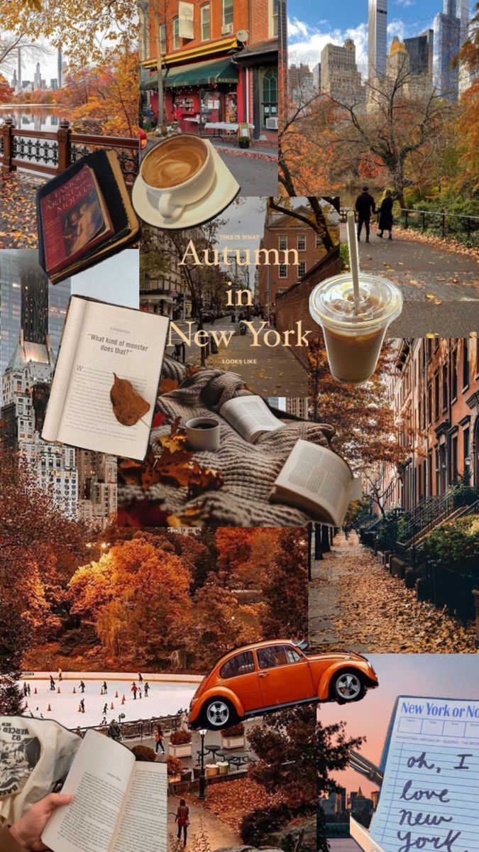 675x1200 Nyc fall aesthetic. Mood nyc, Nyc autumn, Autumn in new york