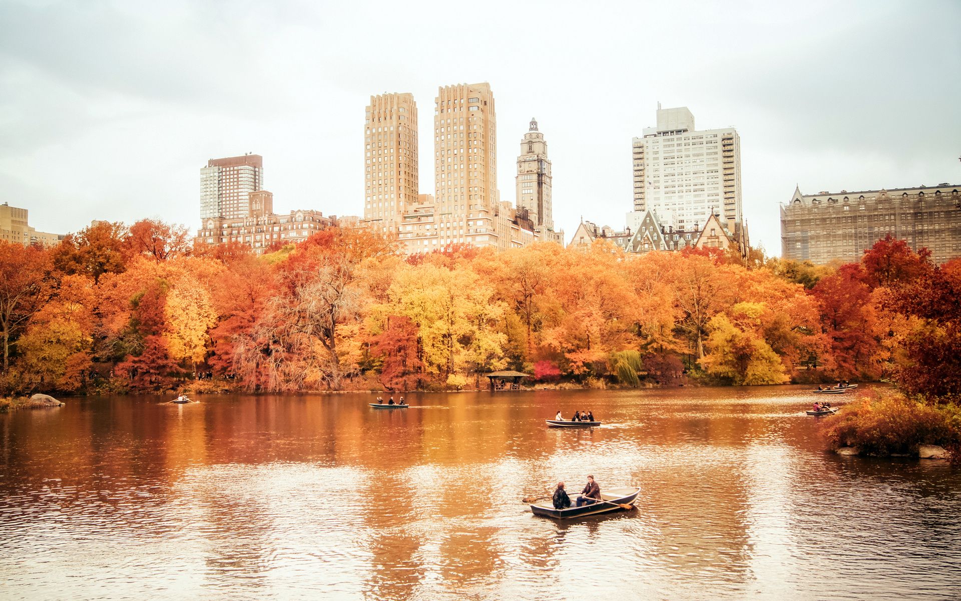 1920x1200 usa, Manhattan, Nyc, New, York, City, New, York, Central, Park, Autumn Wallpaper HD / Desktop and Mobile Background