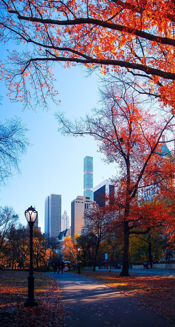 687x1280 New York Autumn iPhone Wallpaper