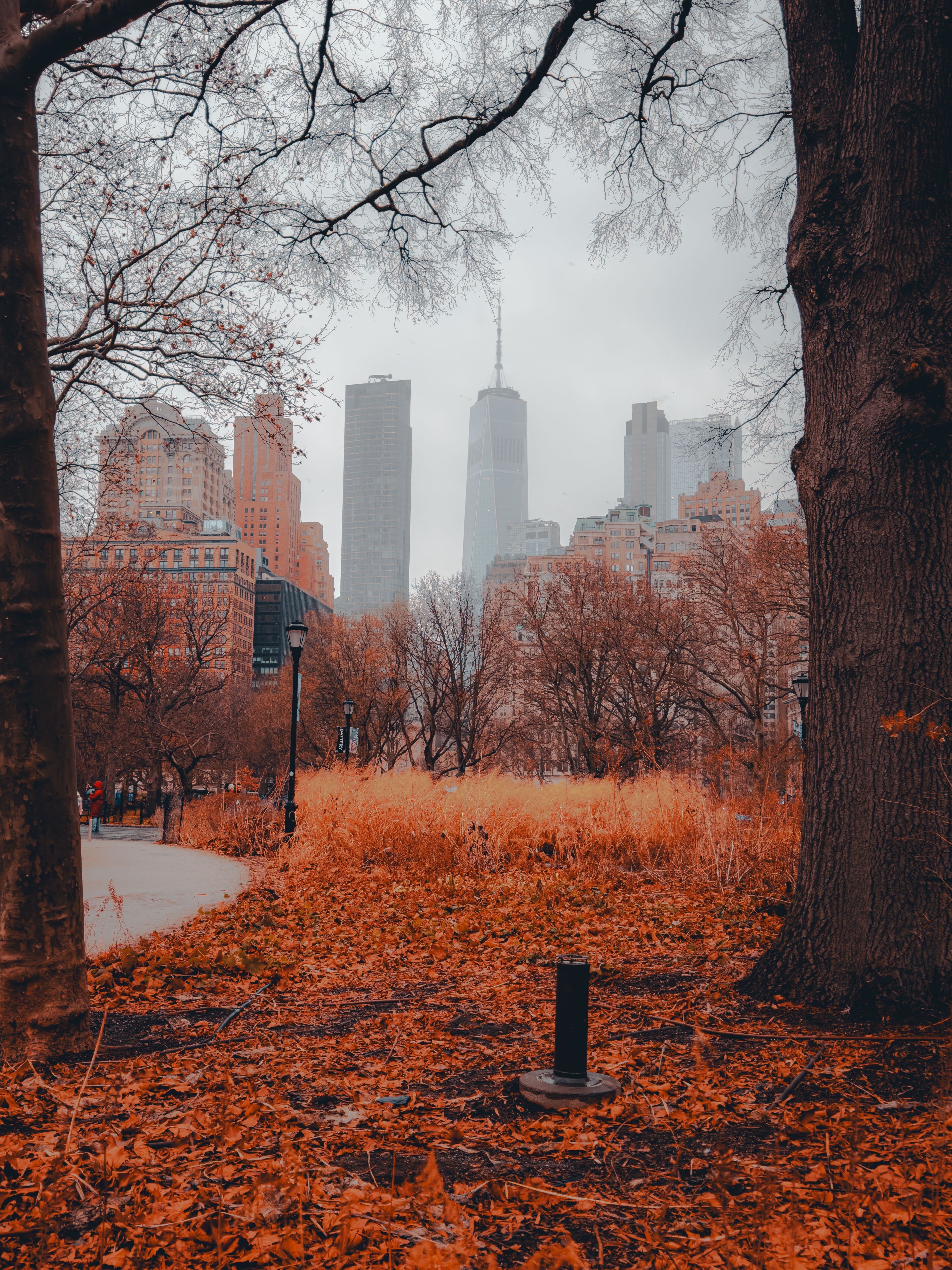 4284x5712 Autumn View of New York City Skyline · Free