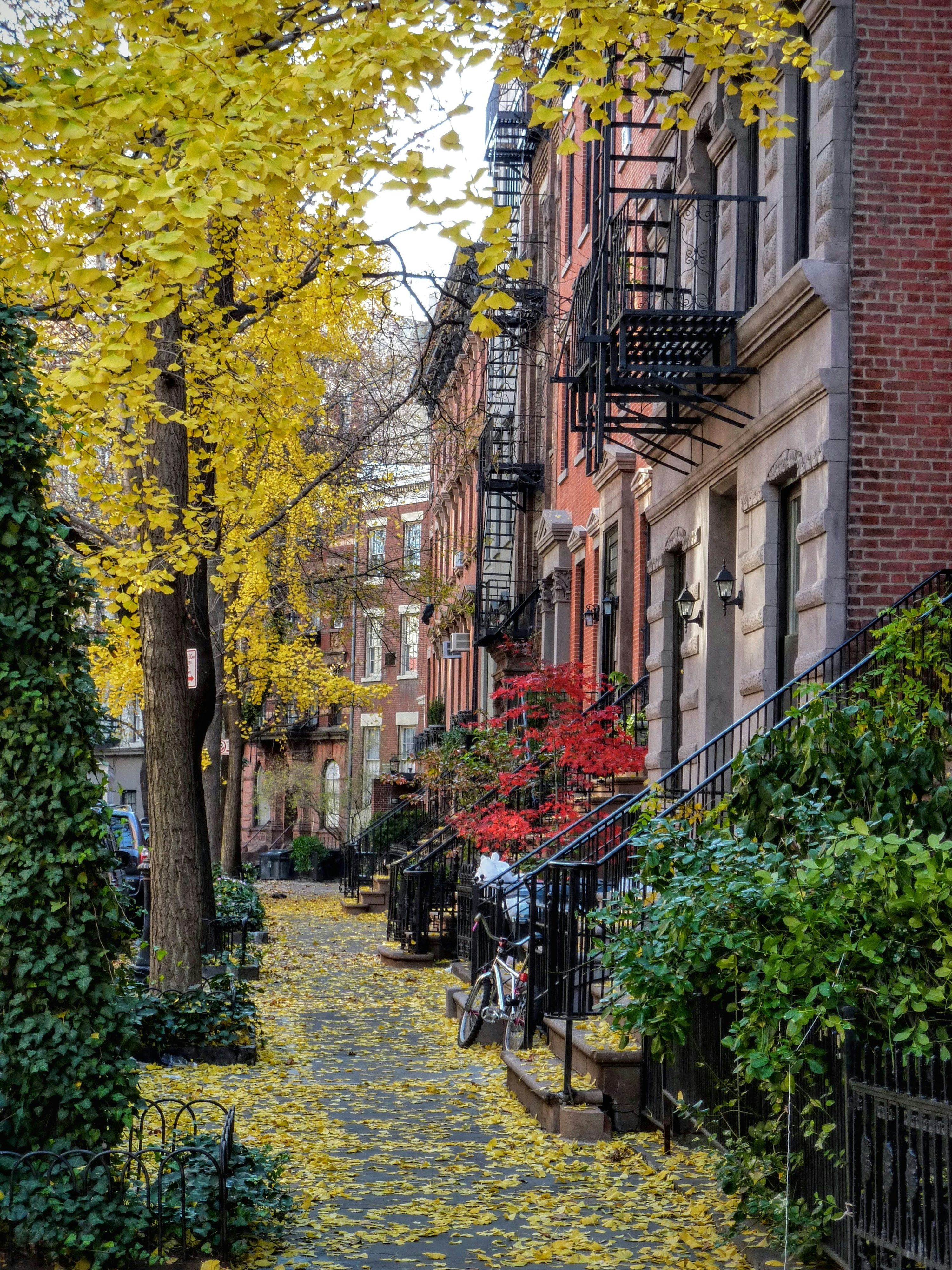 3000x4000 Fall Nyc Picture. Download Free Image