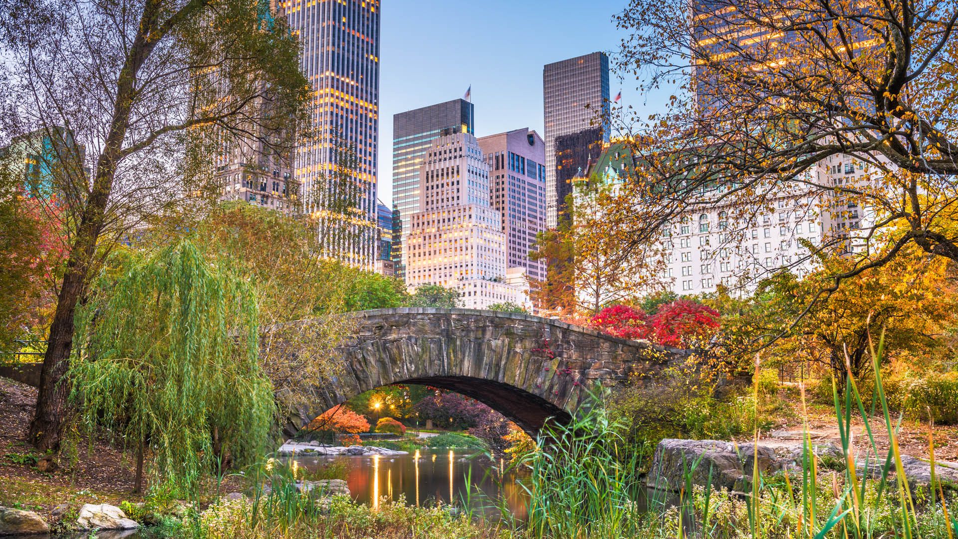 1920x1080 Central Park during autumn in Manhattan, New York City, New York State, USA. Windows Spotlight Image
