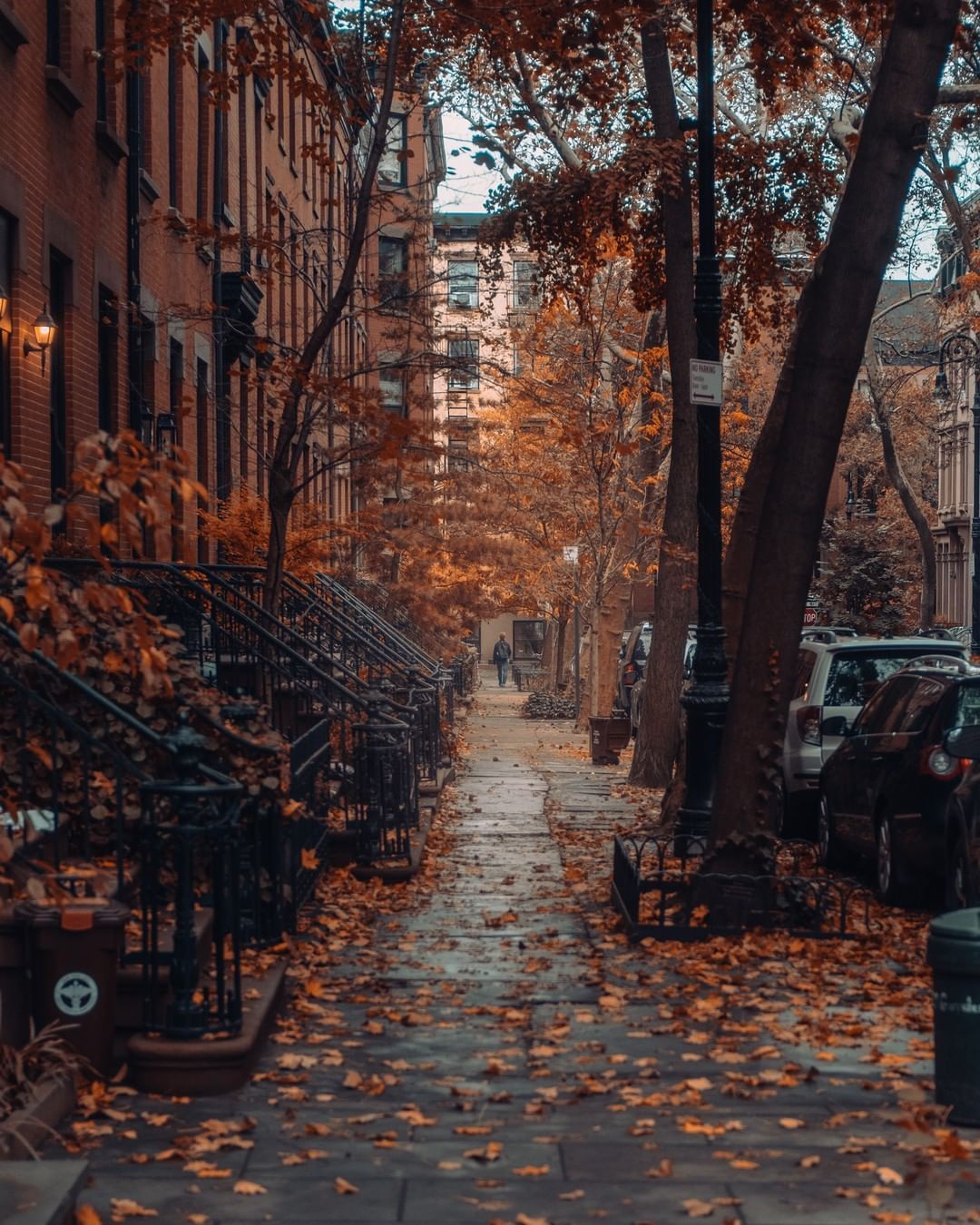 1080x1350 A Brooklyn Heights street after the autumn rain, Brooklyn, New York City