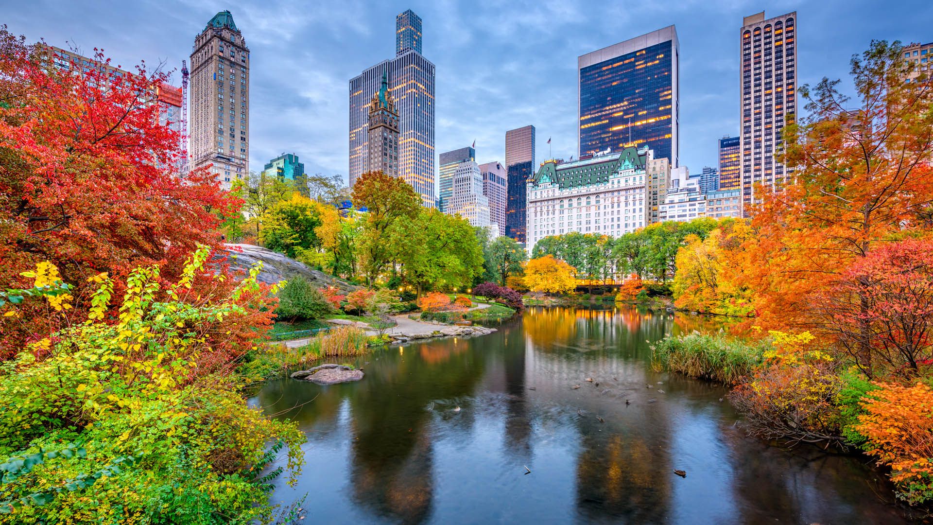 1920x1080 Central Park autumn morning, Manhattan, New York City, USA. Windows Spotlight Image