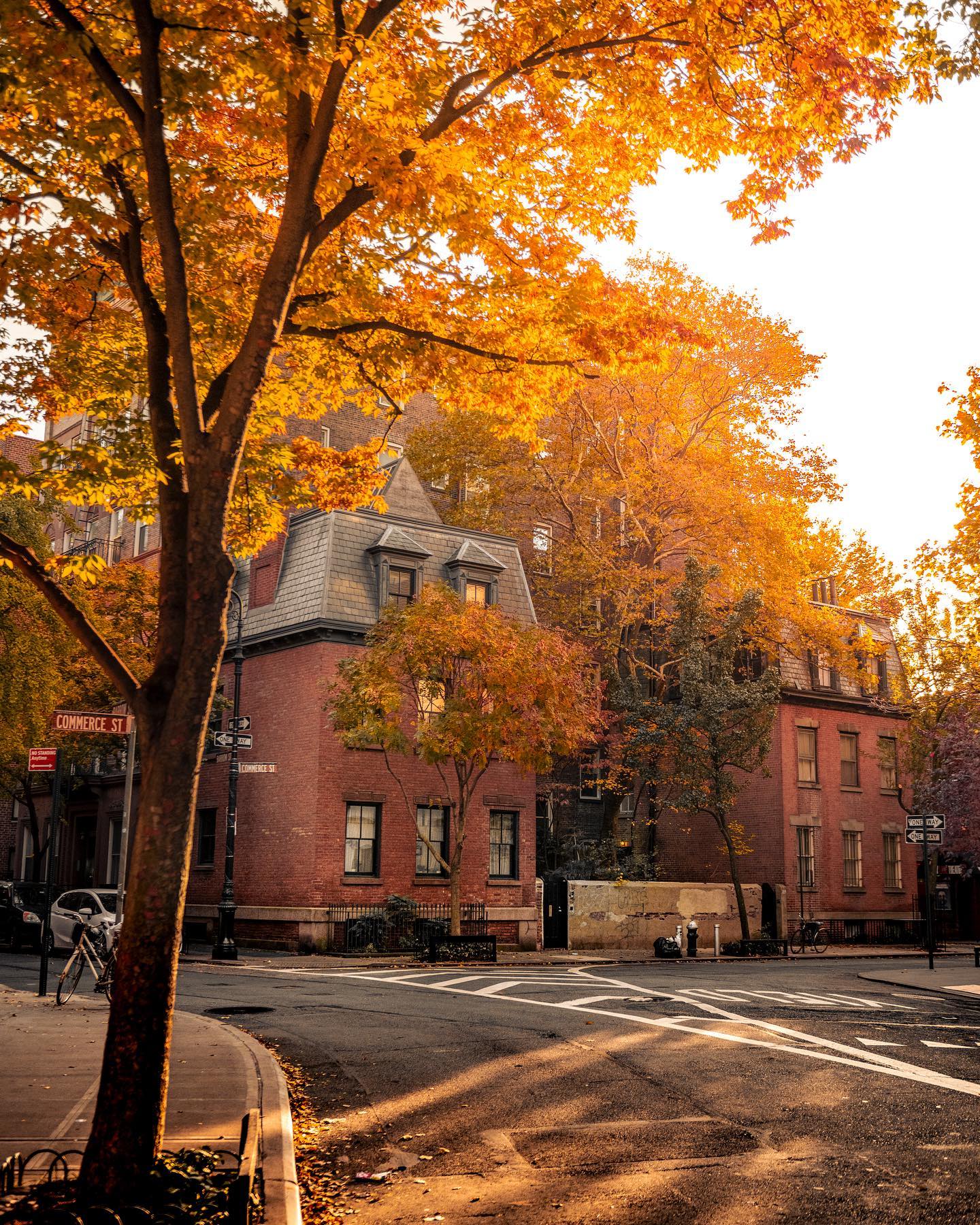 1440x1800 Autumn in West Village, Lower Manhattan, New York City