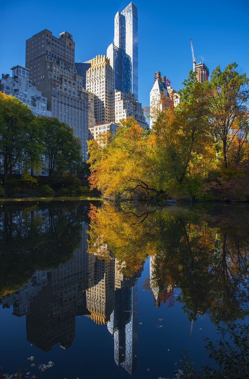 843x1280 Central park, reflection, autumn, foliage, park