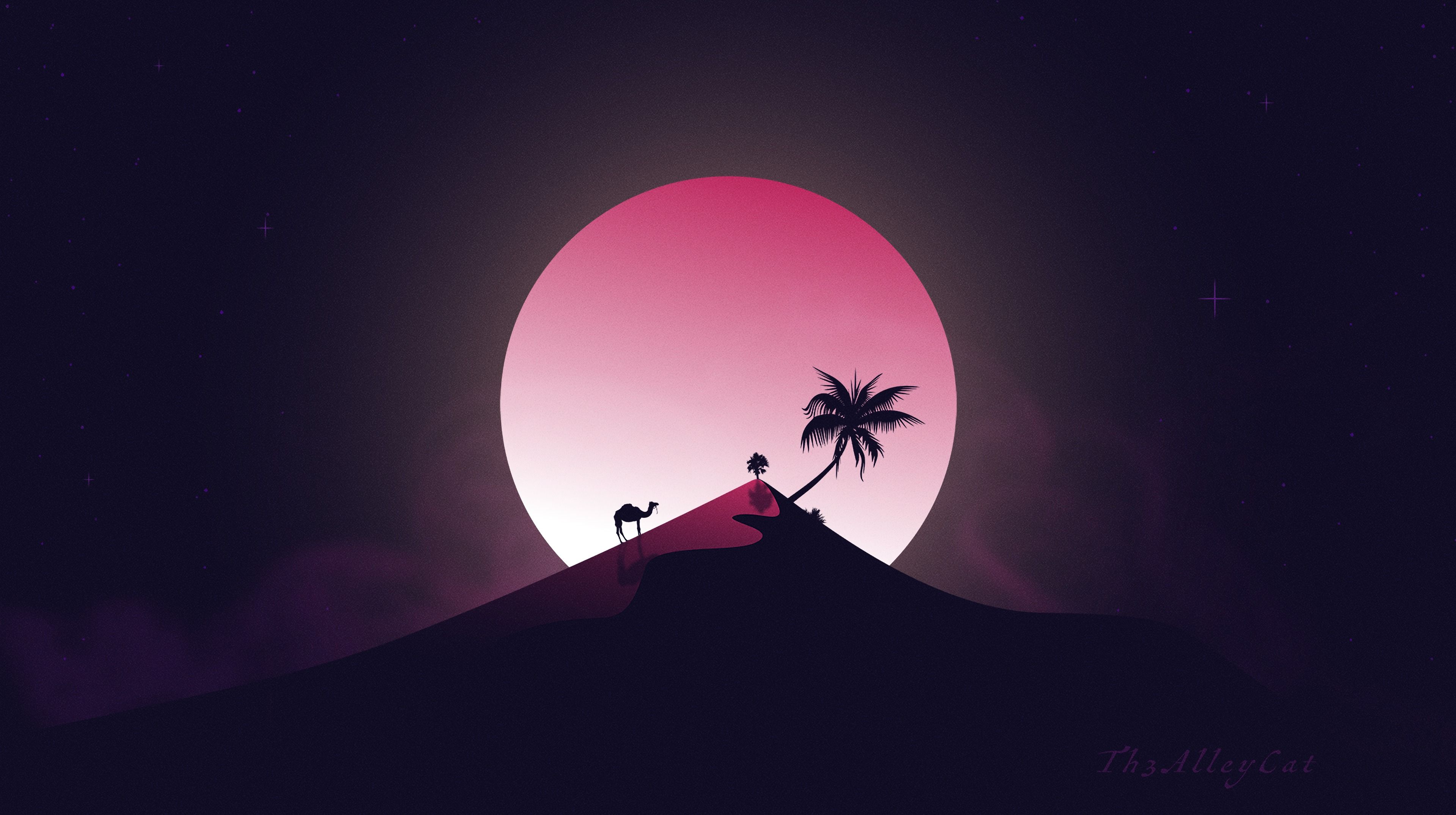 3840x2150 Wallpaper Silhouette of Palm Tree During Night Time, Background Free Image