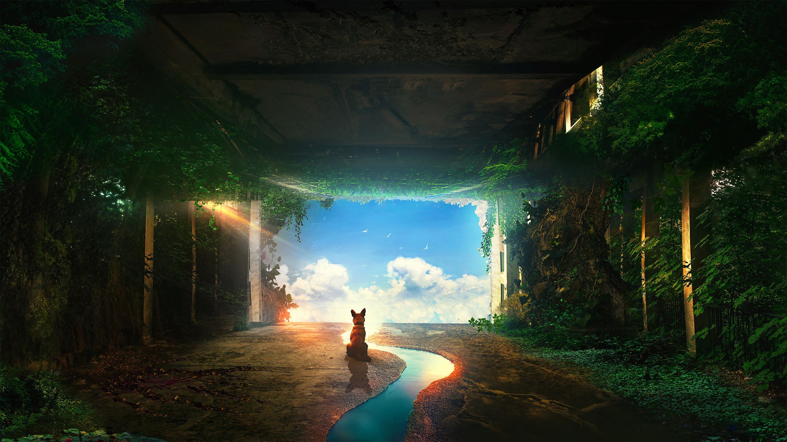 2560x1440 Post Apocalypse Wallpaper
