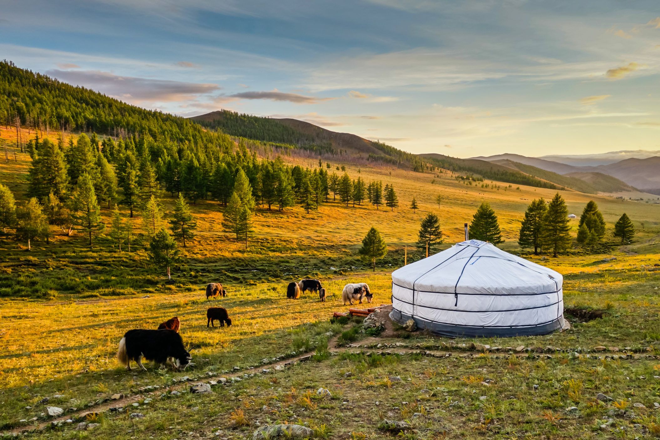 2109x1406 Mongolia Wallpaper