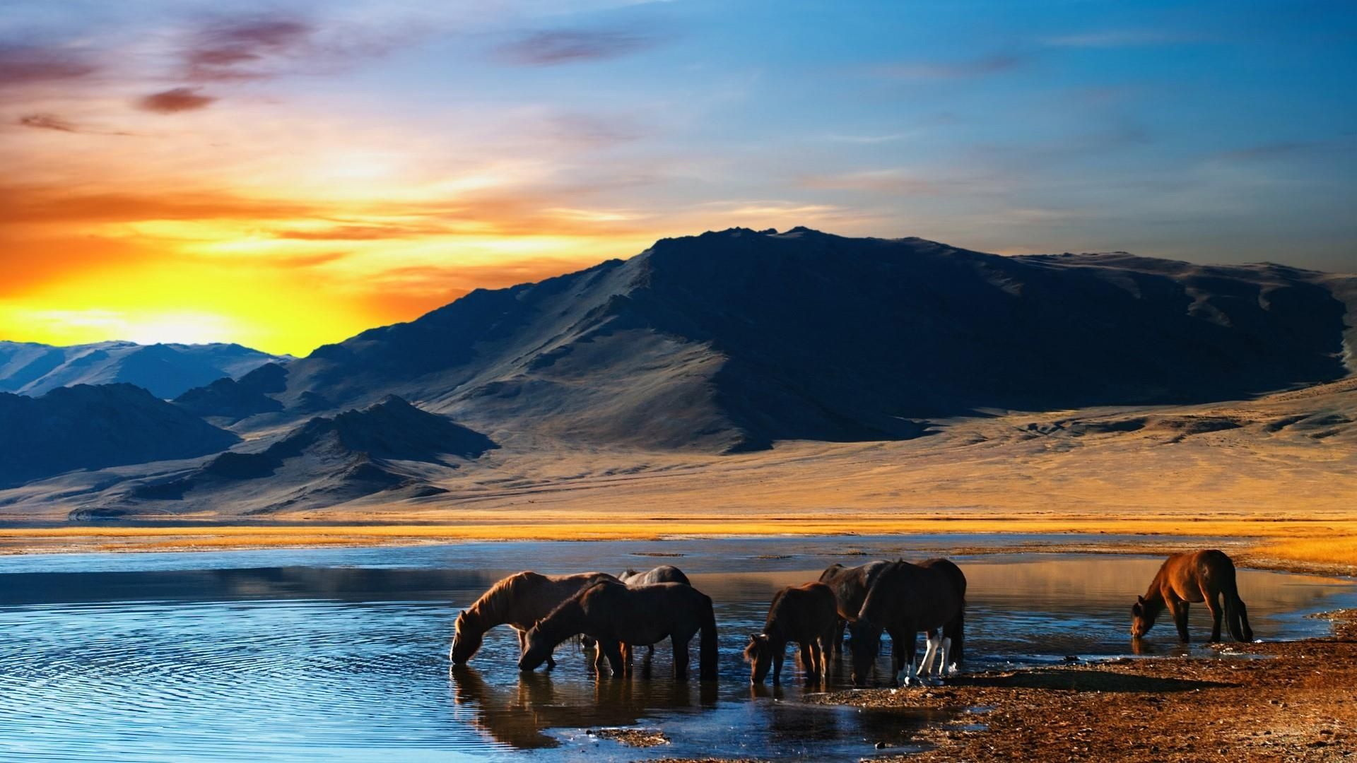 1920x1080 Mongolia Wallpaper