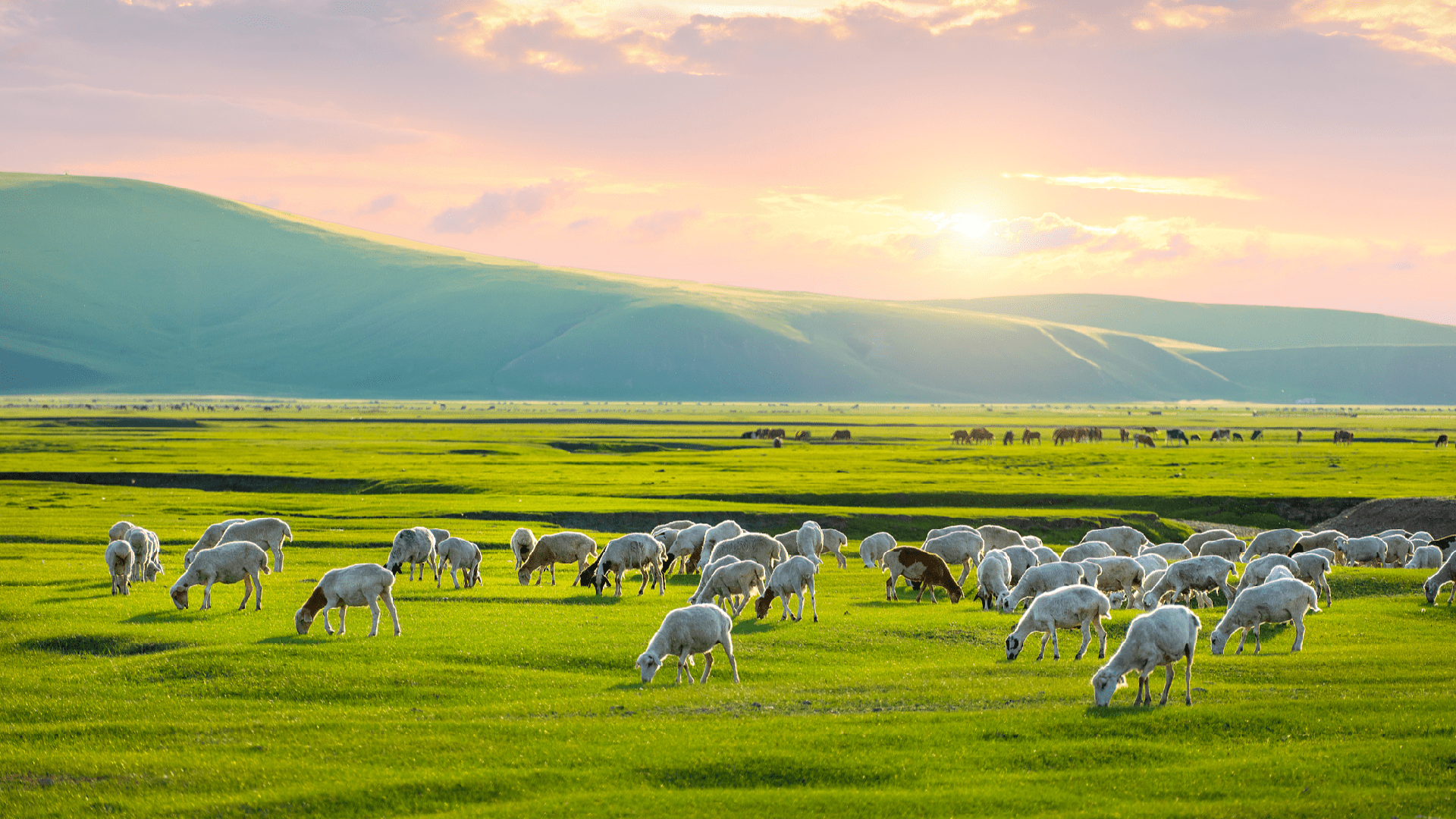 1920x1080 China: Inner Mongolia, land of natural splendor and endless horizons