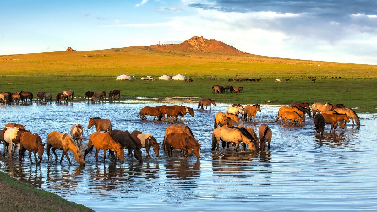 1200x675 This sacred Mongolian site is one of the world's oldest nature reserves