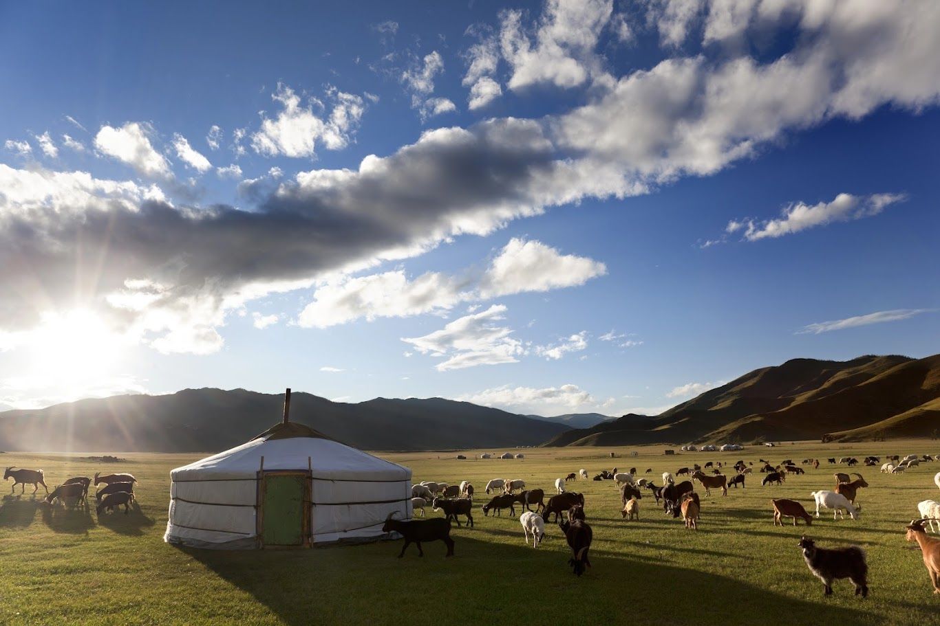 1366x911 Travel to Mongolia: Explore Its Culture and Nature
