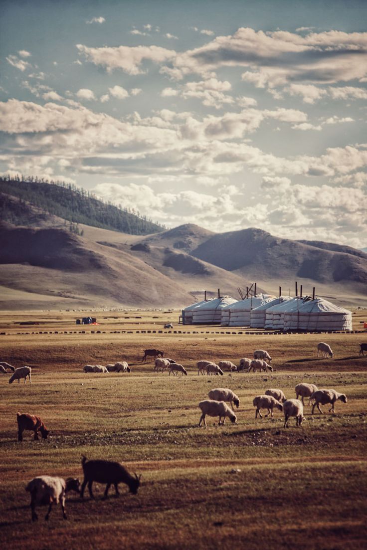 736x1103 We Travelled 26.000Km In 4 Months From Romania To Mongolia With Our 6 Year Old Sitting In A Sidecar