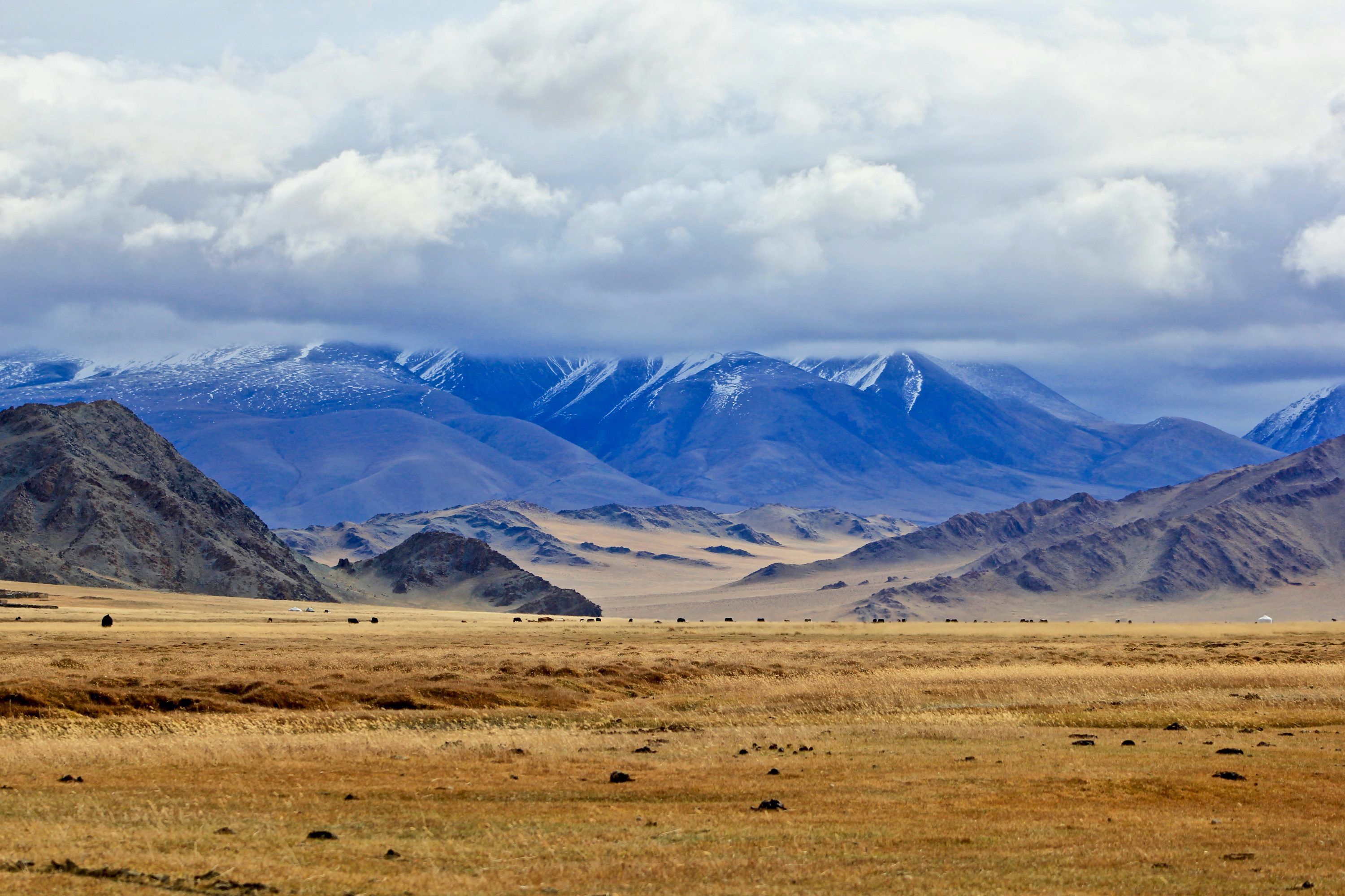 3000x2000 Mongolia Picture [HD]. Download Free Image