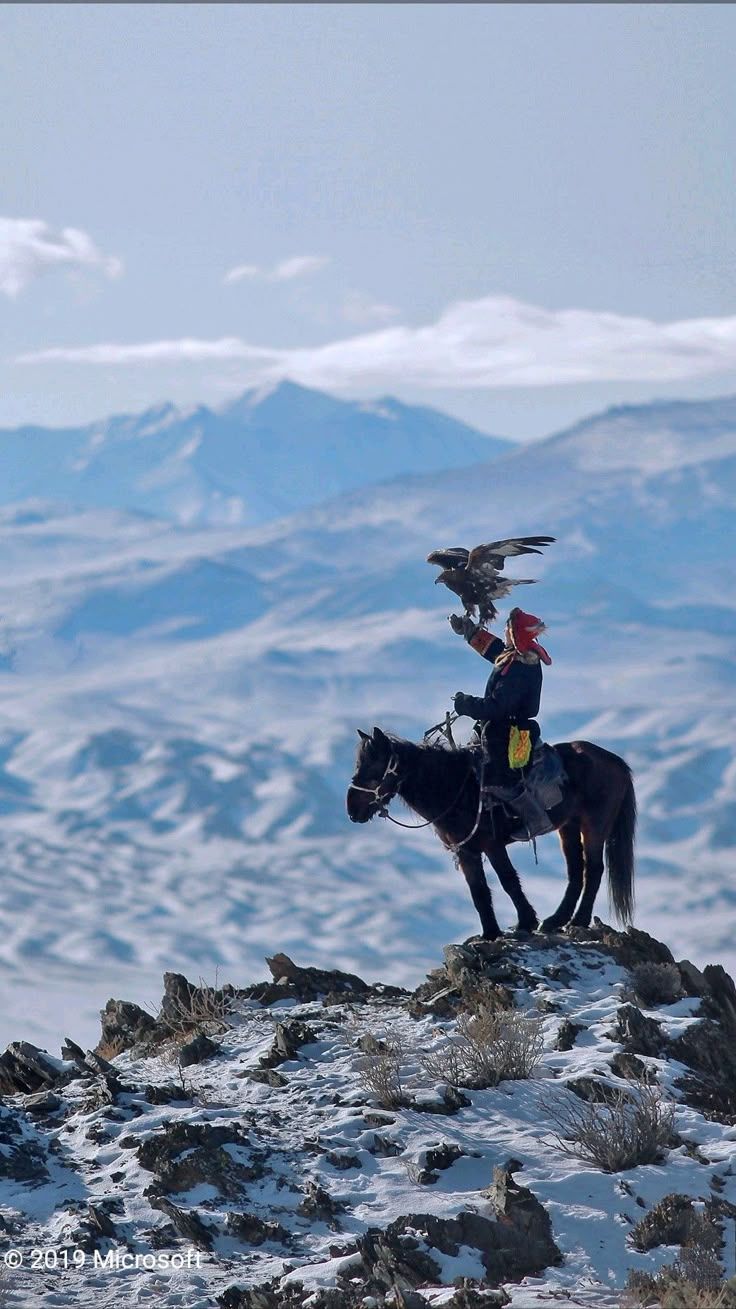 736x1309 Mongolian nature picture. Mongolian wallpaper, Eagle hunters, Fantasy