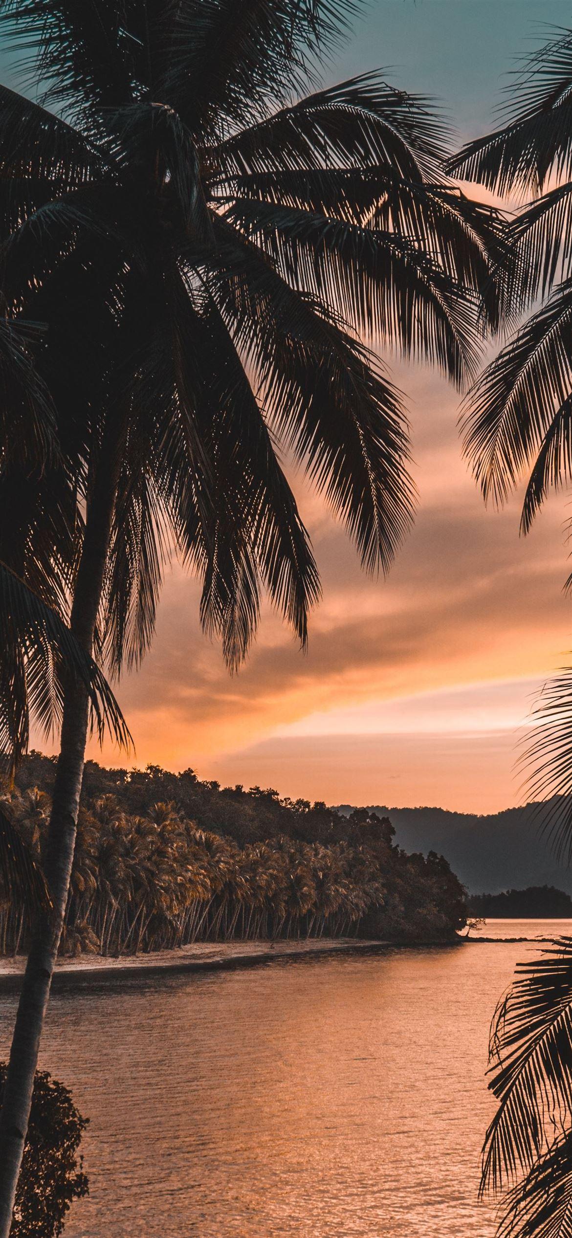 1170x2532 Tải xuống miễn phí Hình nền iLikeWallpaper cho iPhone 12 và iPhone 12 Pro [ 1170x2532)
cho Máy tính để bàn, Di động & Máy tính bảng của bạn. Khám phá Hình nền iPhone 12 Pro dễ thương. 12 Hình nền, Hình nền Bambi 12, Hình nền MacBook 12