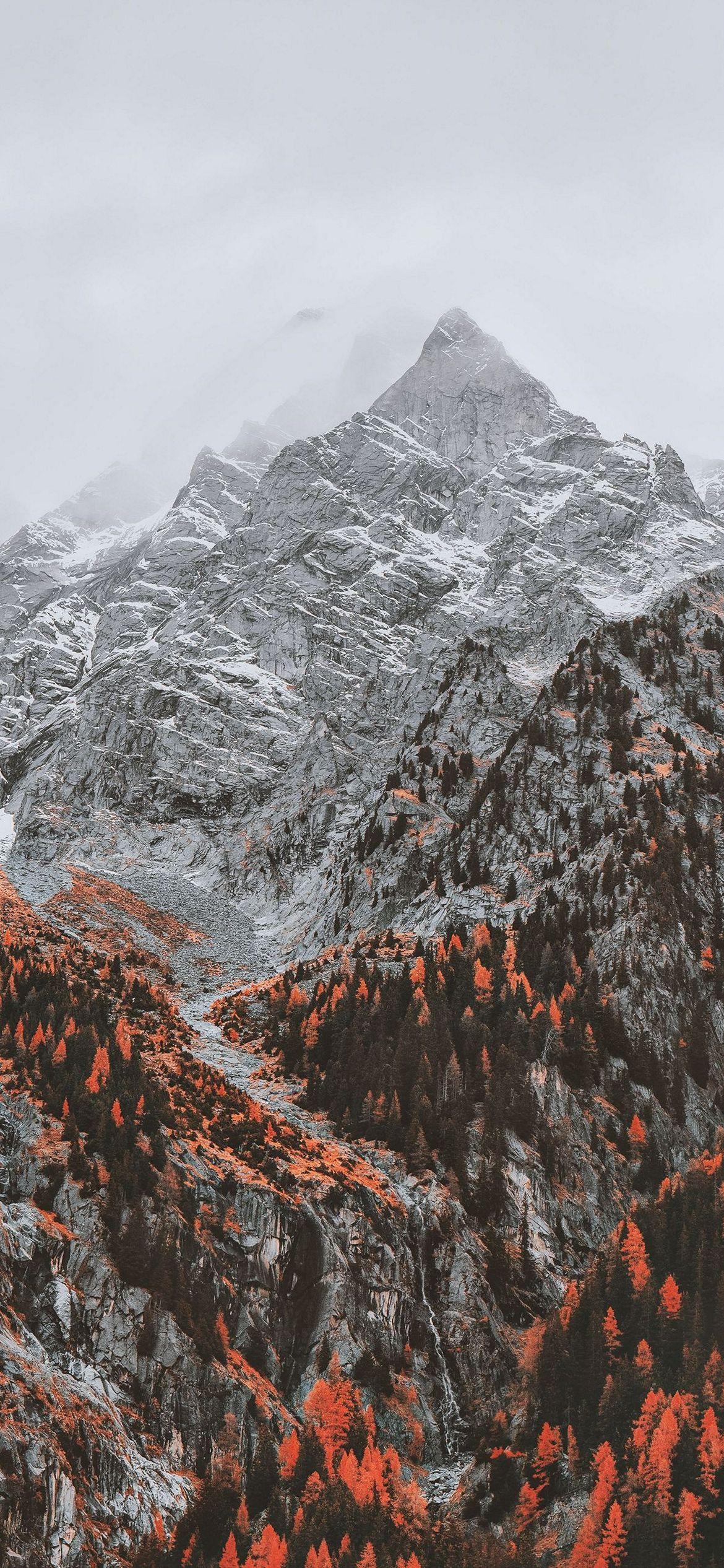 1170x2532 Wallpaper