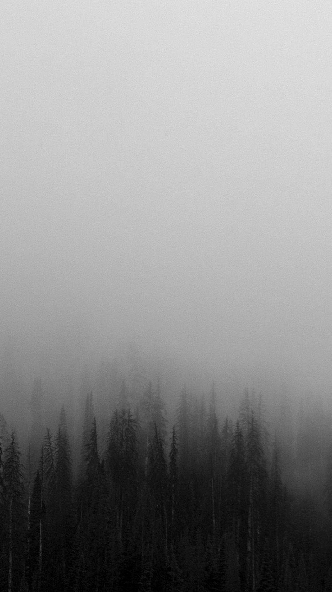 1080x1921 White Minimalist iPhone HD Wallpaper (Desktop Background / Android / iPhone) (1080p, 4k) (1080x1921) (2021)