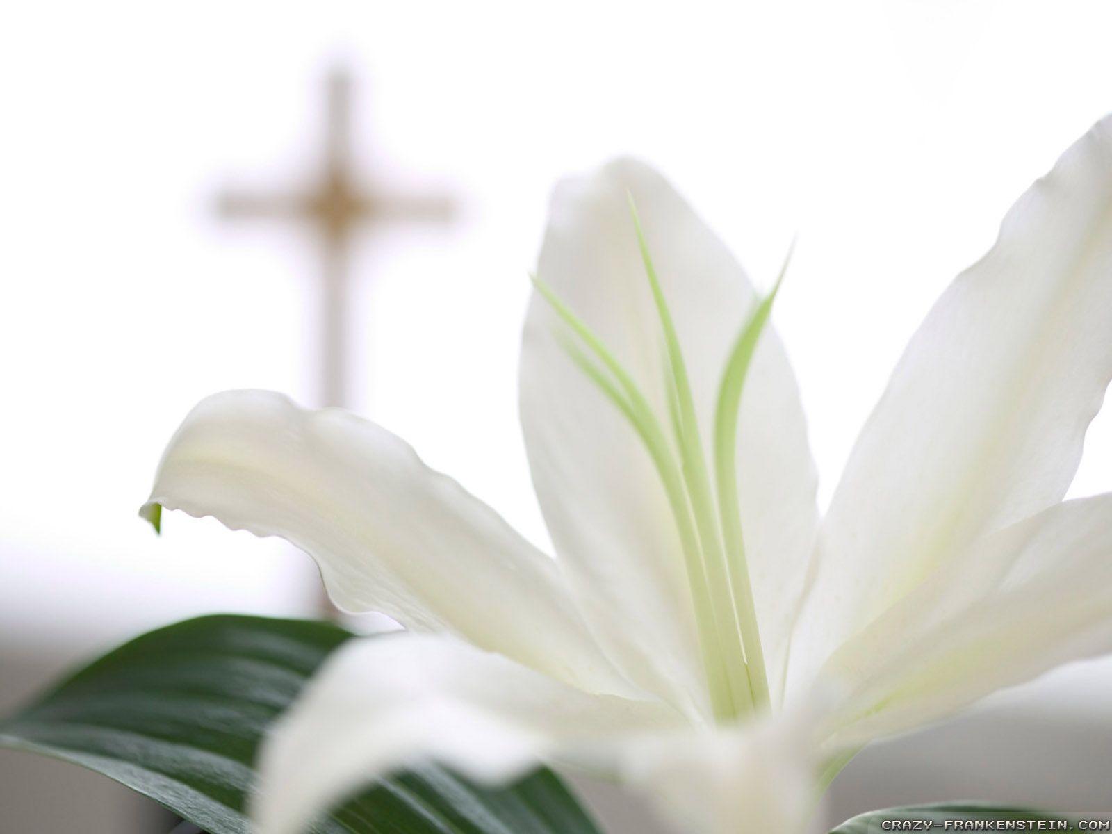 1600x1200 Christian Easter wallpaper