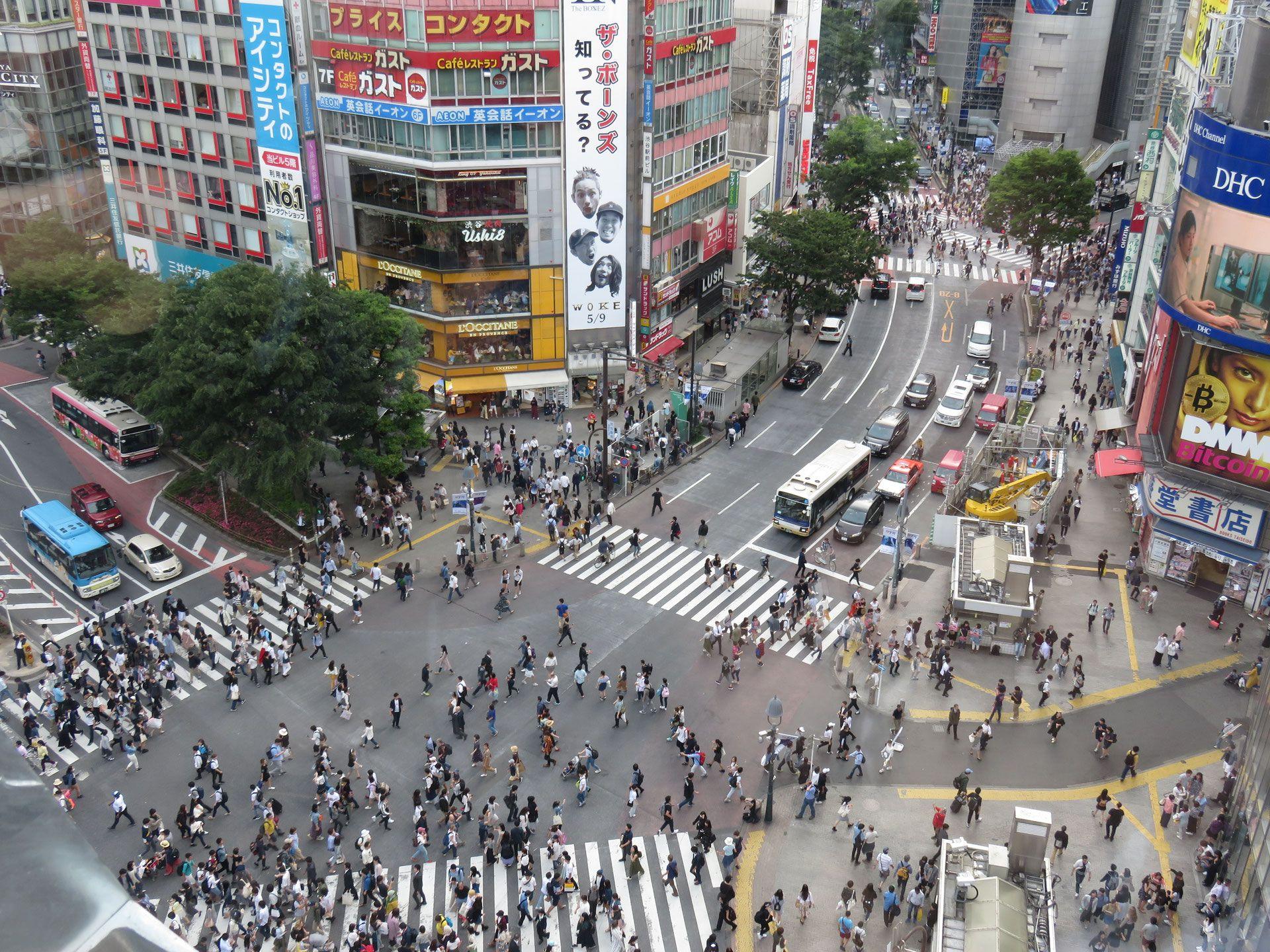 1920x1440 New spot to view the Shibuya Crossing Tanaka Tokyo English Tour Guide