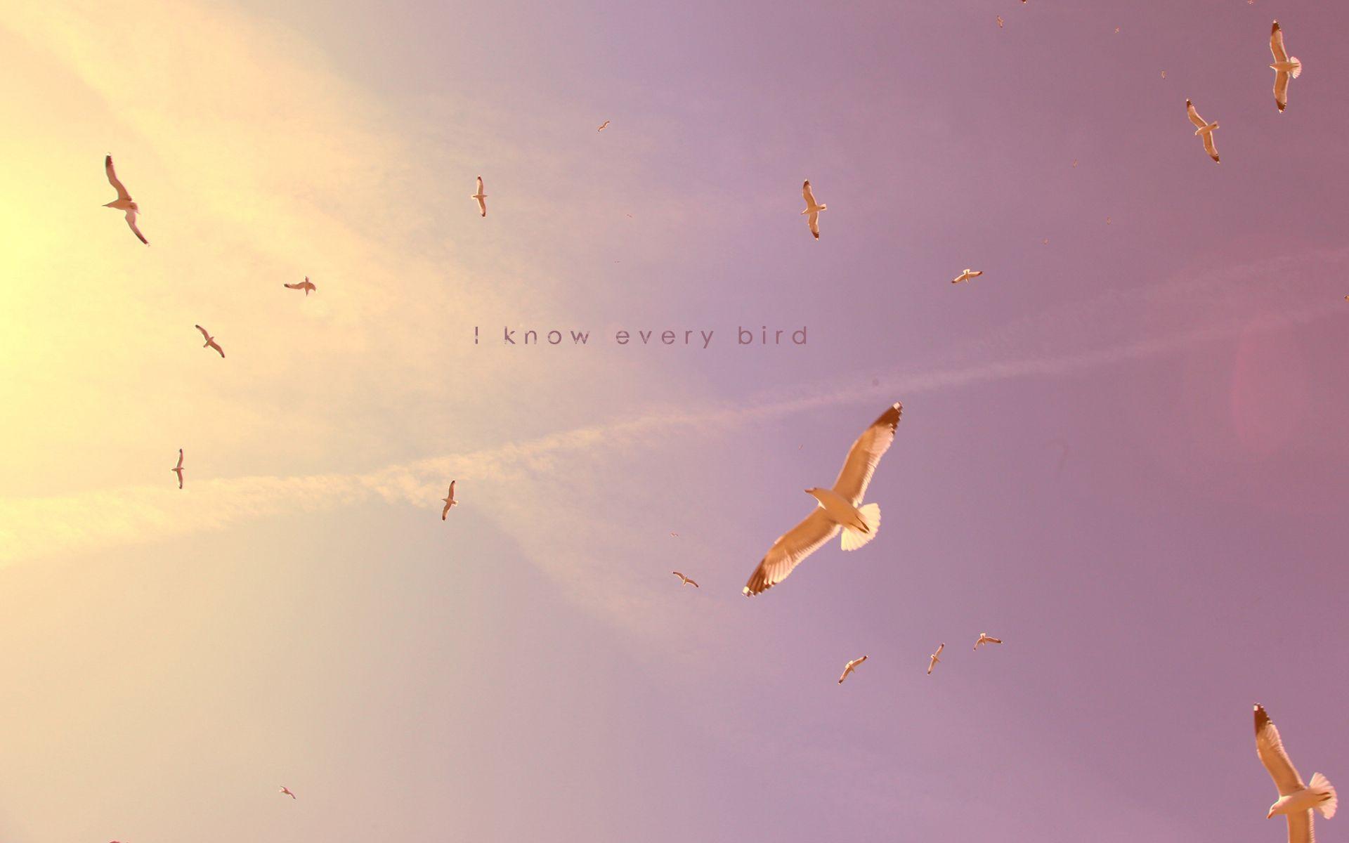 1920x1200 He Knows