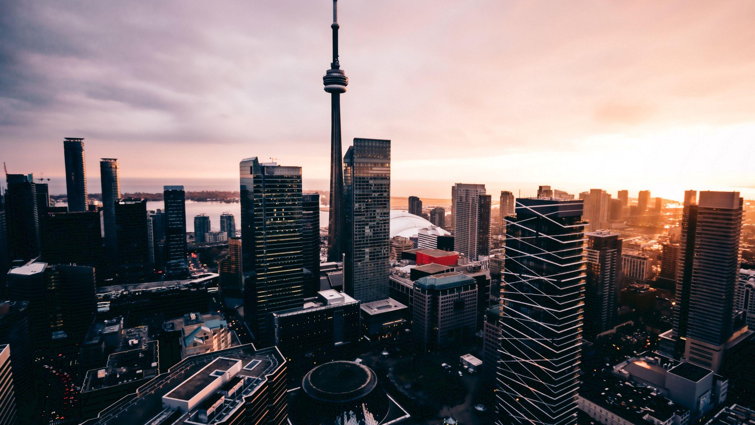 Toronto Harbor at Night city skyline canada urban HD wallpaper  Peakpx