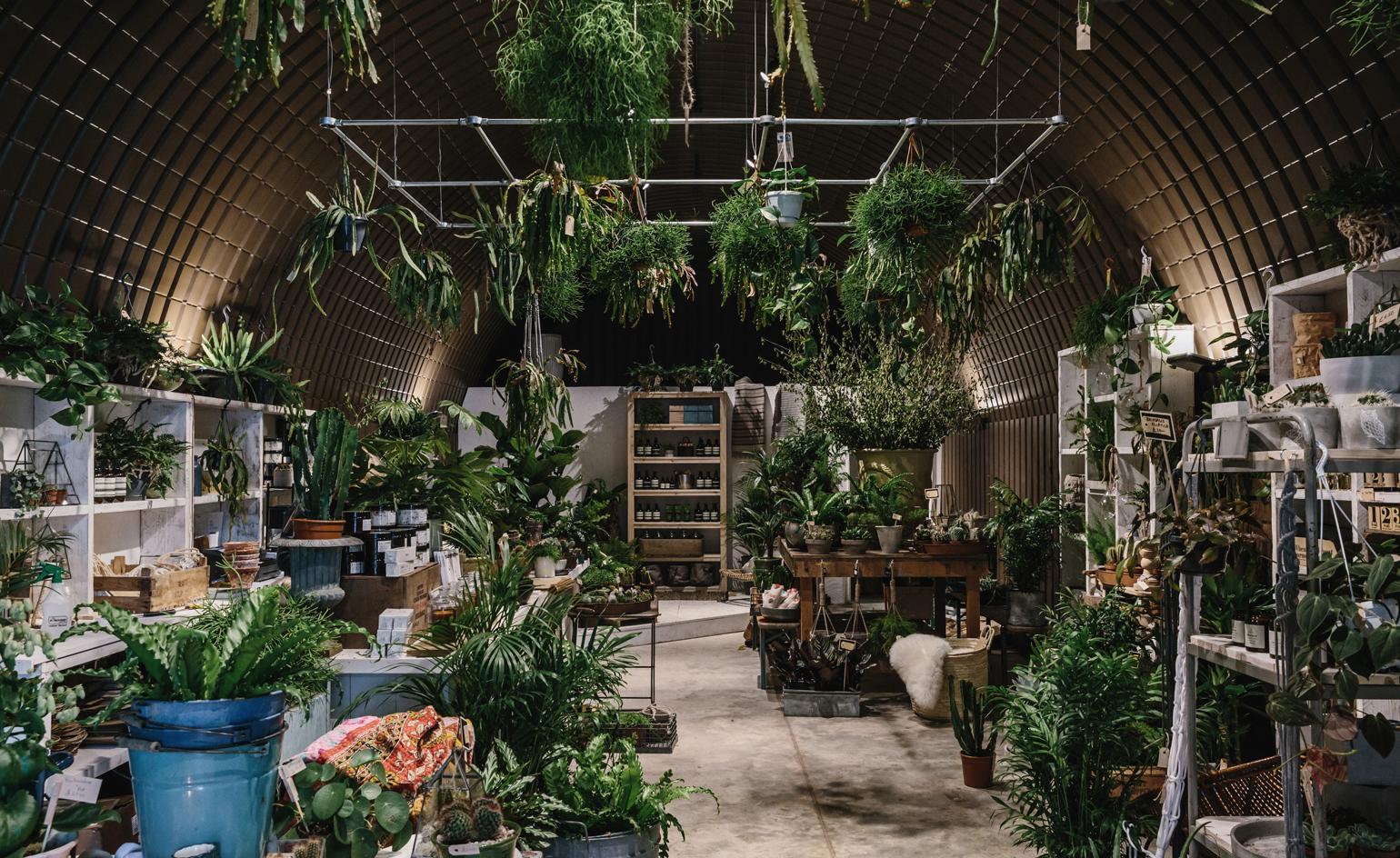 1540x944 Forest London brings rare and exotic plants to the city. Wallpaper*