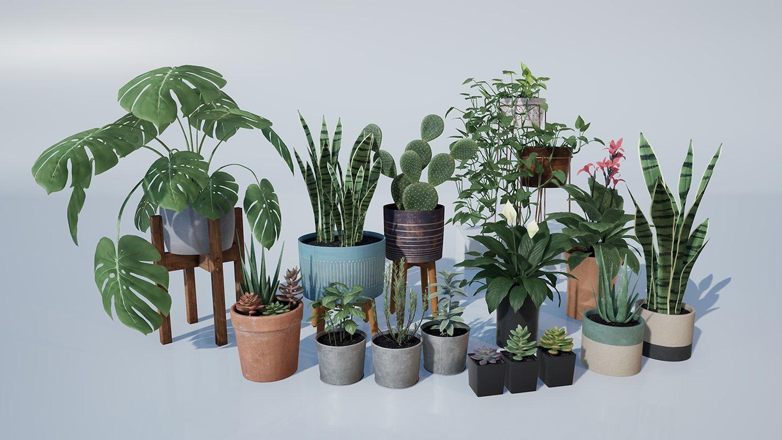 1600x900 Houseplant Pack and Exterior Plants in Architectural Visualization
