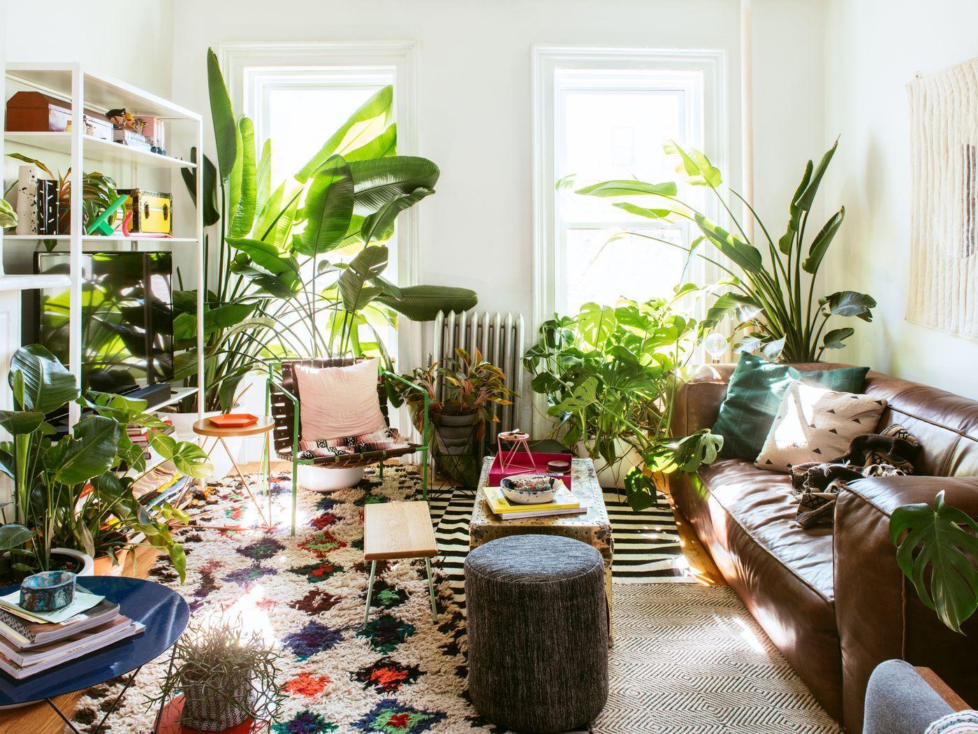 living room interior with plants