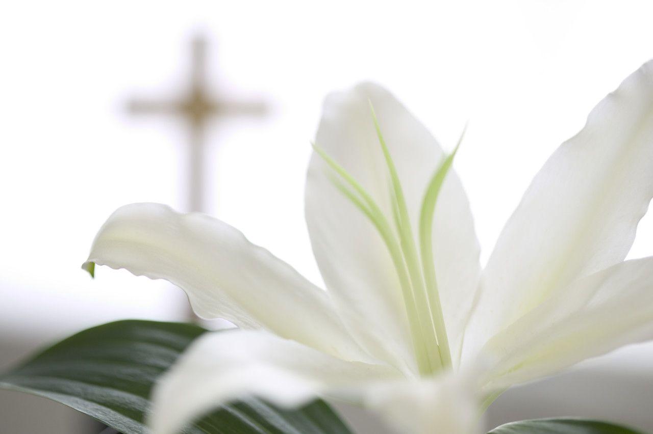 1280x852 Easter Sunday Reflection (2020)
