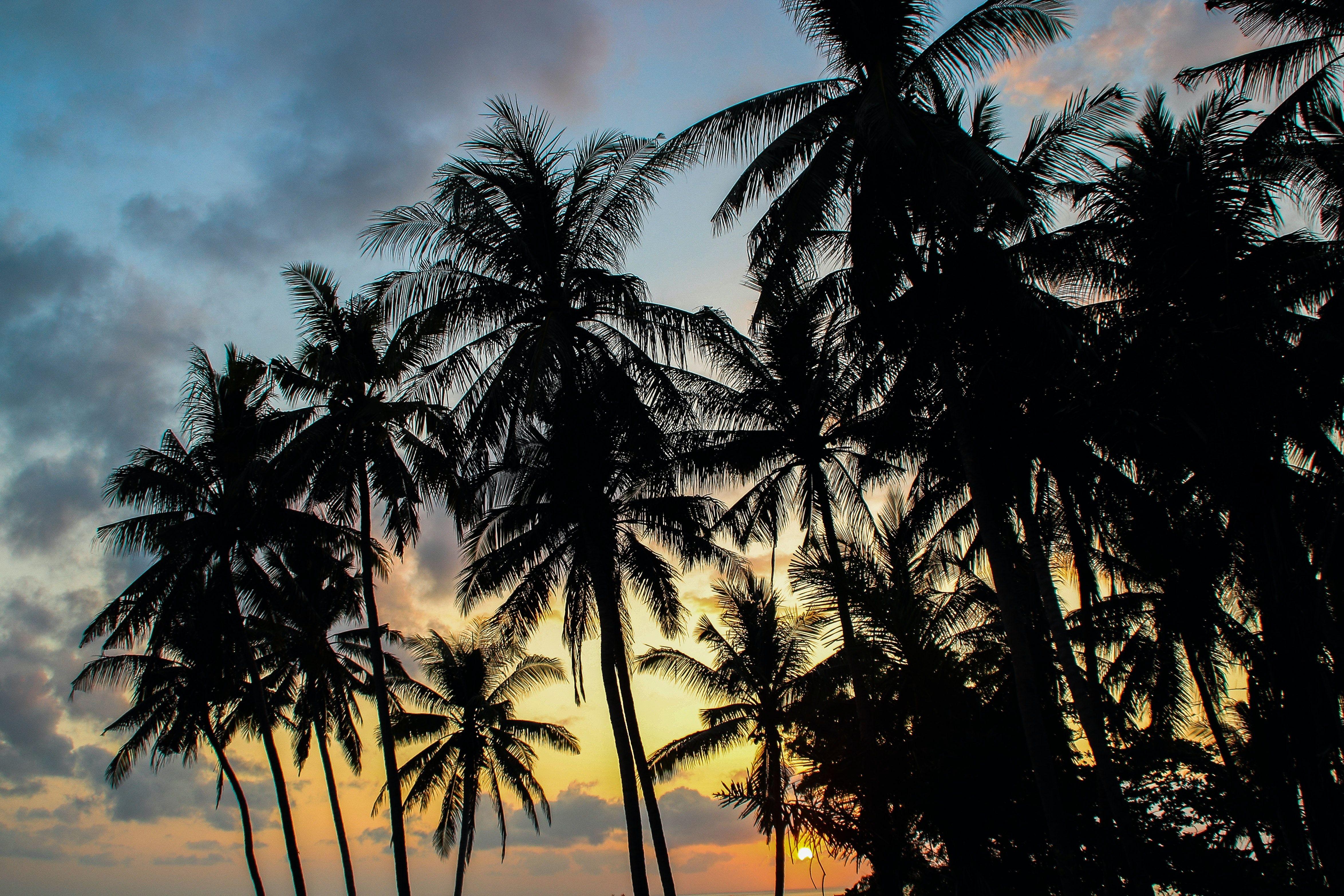 4695x3130 Free of 4k wallpaper, bali, beach