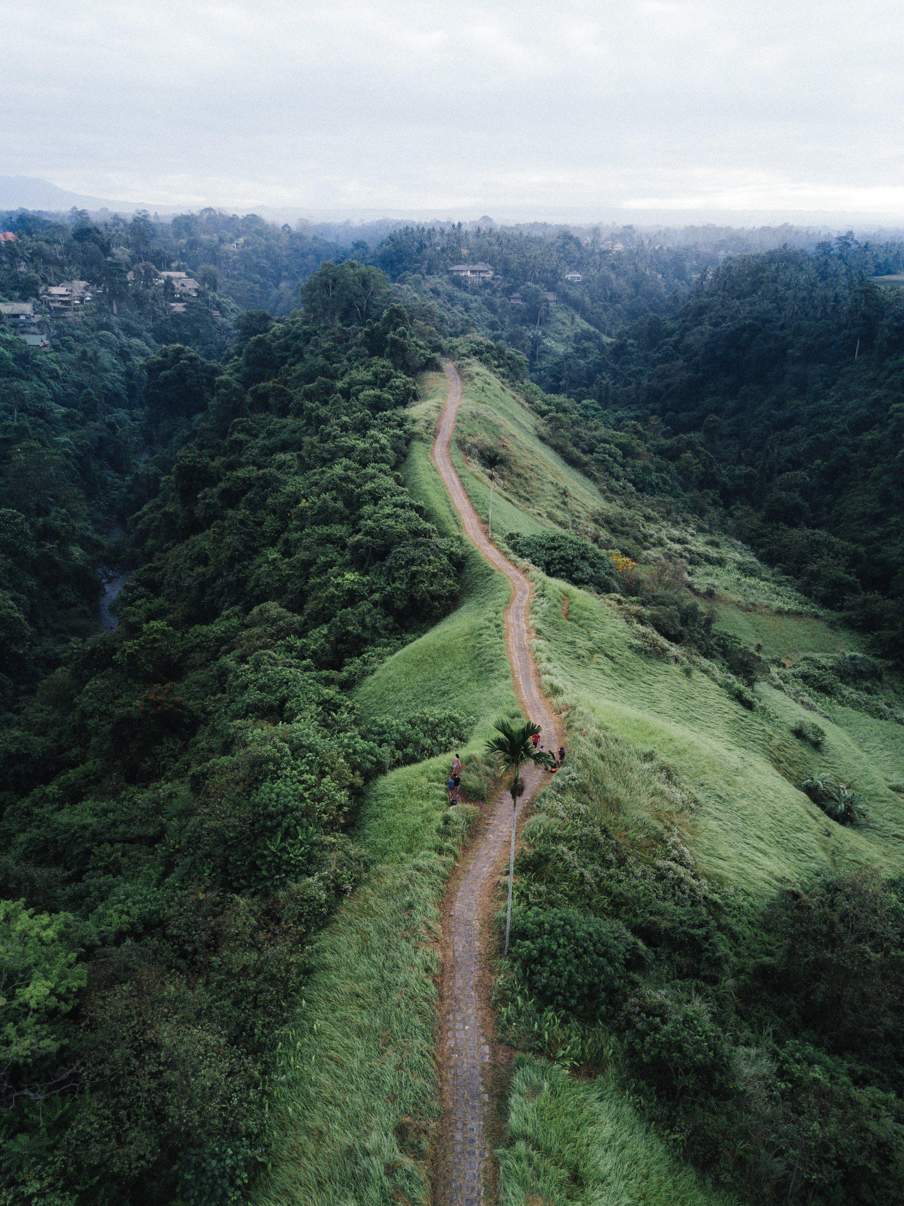 2971x3964 Wallpaper / a morning in bali 4k wallpaper