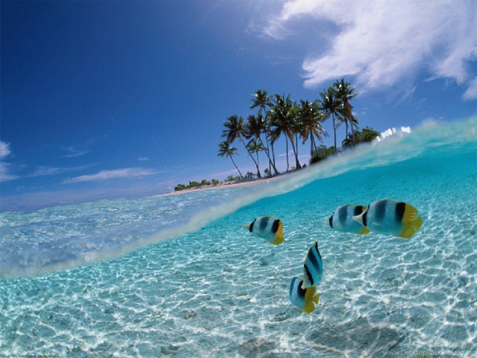 1600x1200 Bali Beach Wallpaper Wallpaper Z Desktop Background