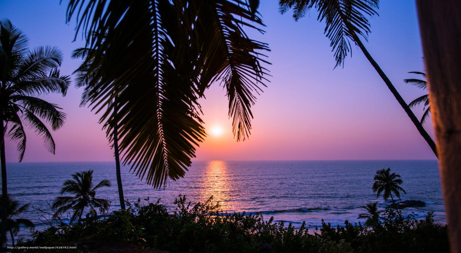 1600x879 Download wallpaper Sunset in Goa, India, sunset, sea free desktop wallpaper in the resolution 7360x4044