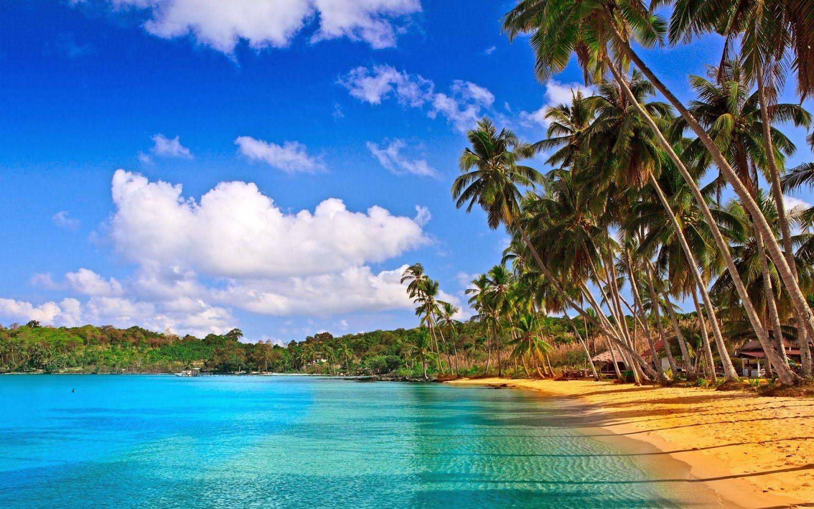 1600x1000 Goa Beaches Wallpaper