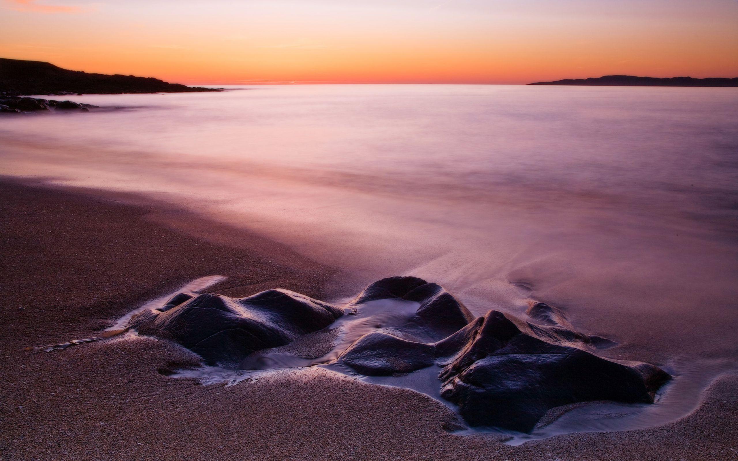 2560x1600 Pink 2560x1600 Wallpaper, High Definition, High Quality, Widescreen