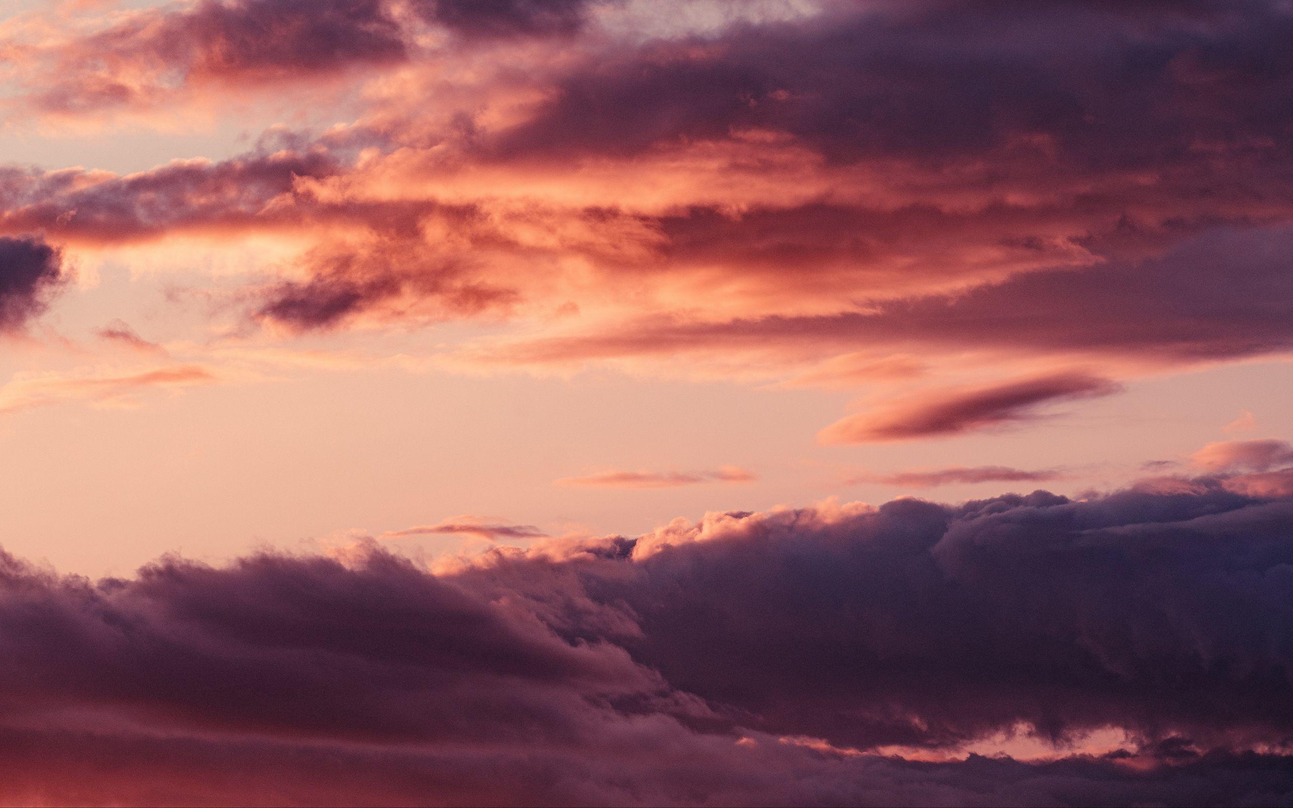 2560x1600 Download wallpaper 2560x1600 sky, clouds, pink, sunset widescreen 16:10 HD background