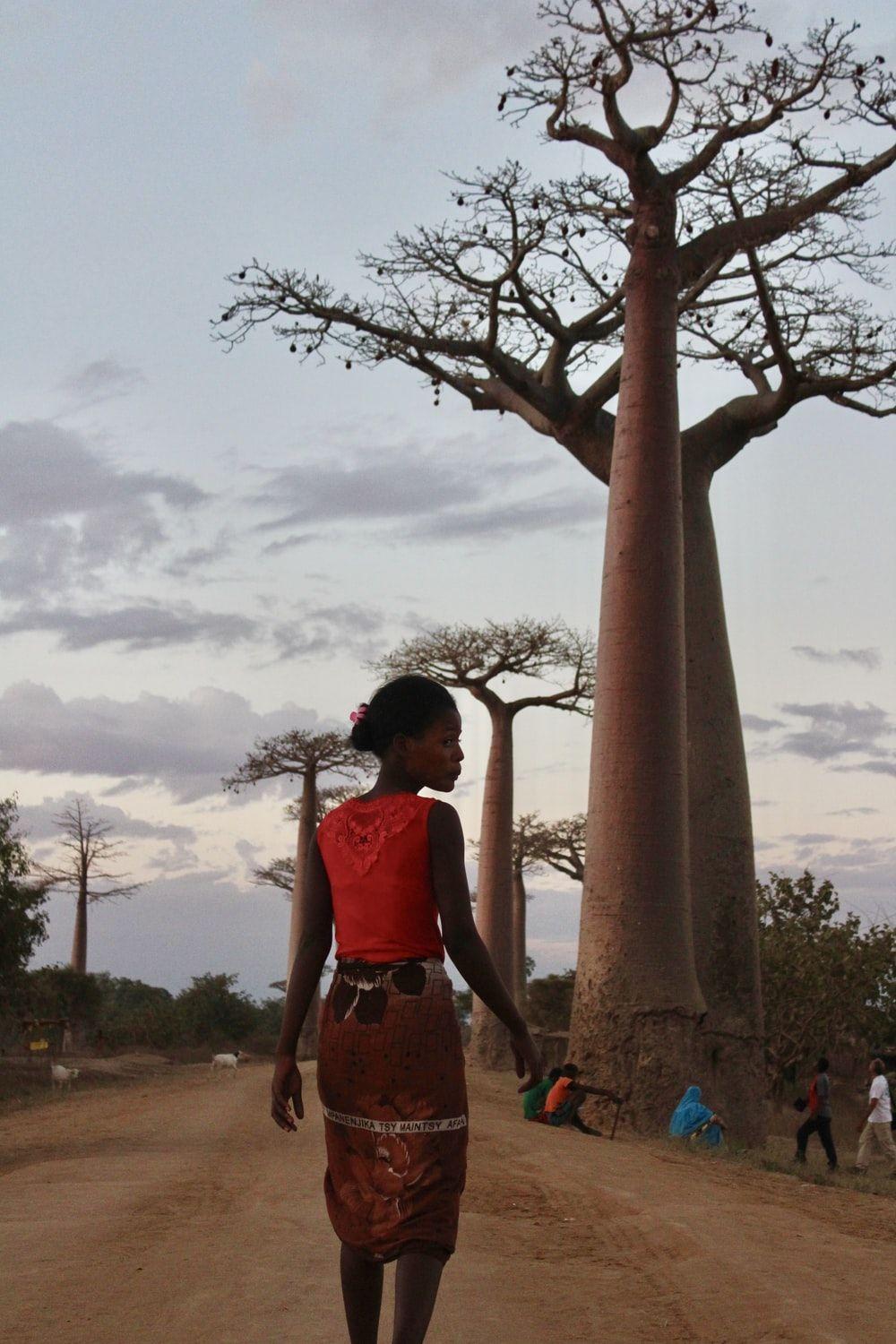 1000x1500 Baobab Tree Picture [HD]. Download Free Image